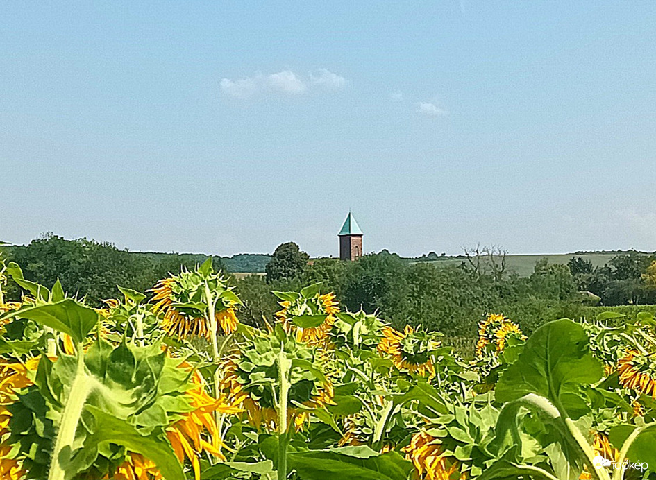 The church could be seen 