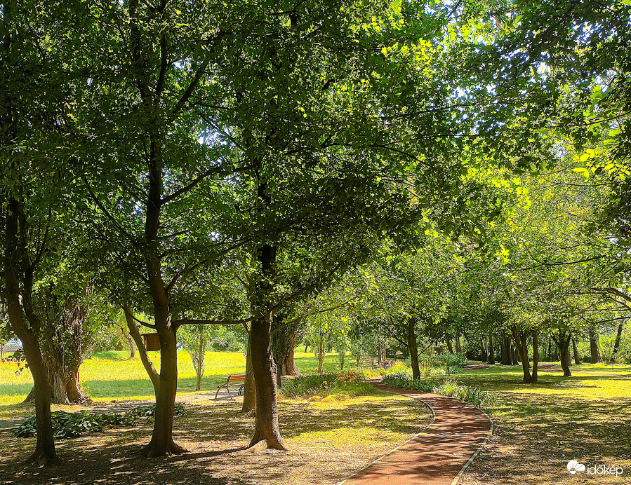 In the shade 