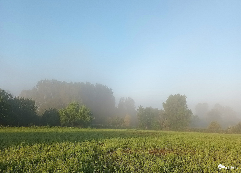 The morning started with a mist