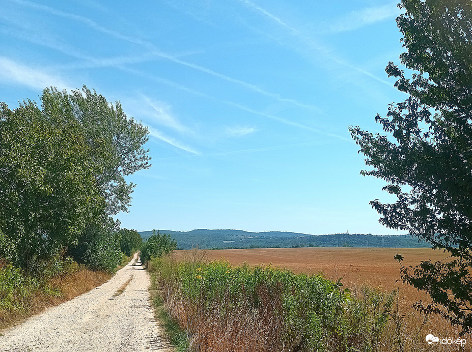 Along a dusty road 