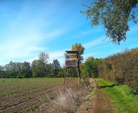 At the lookout 