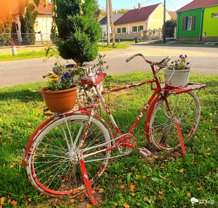 Bike of beauty