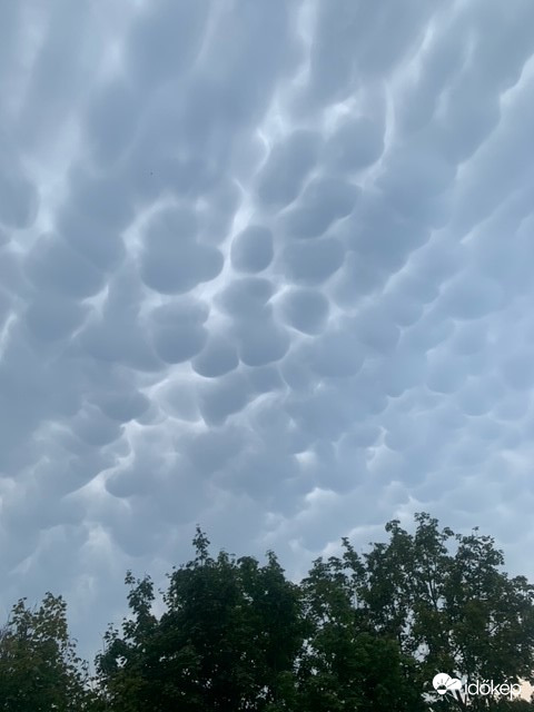 Mammatus