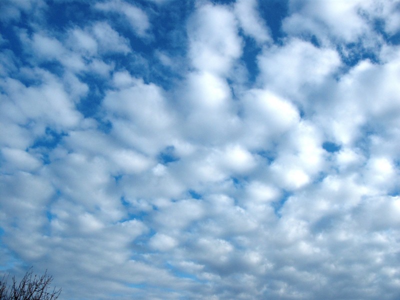 Altocumulus