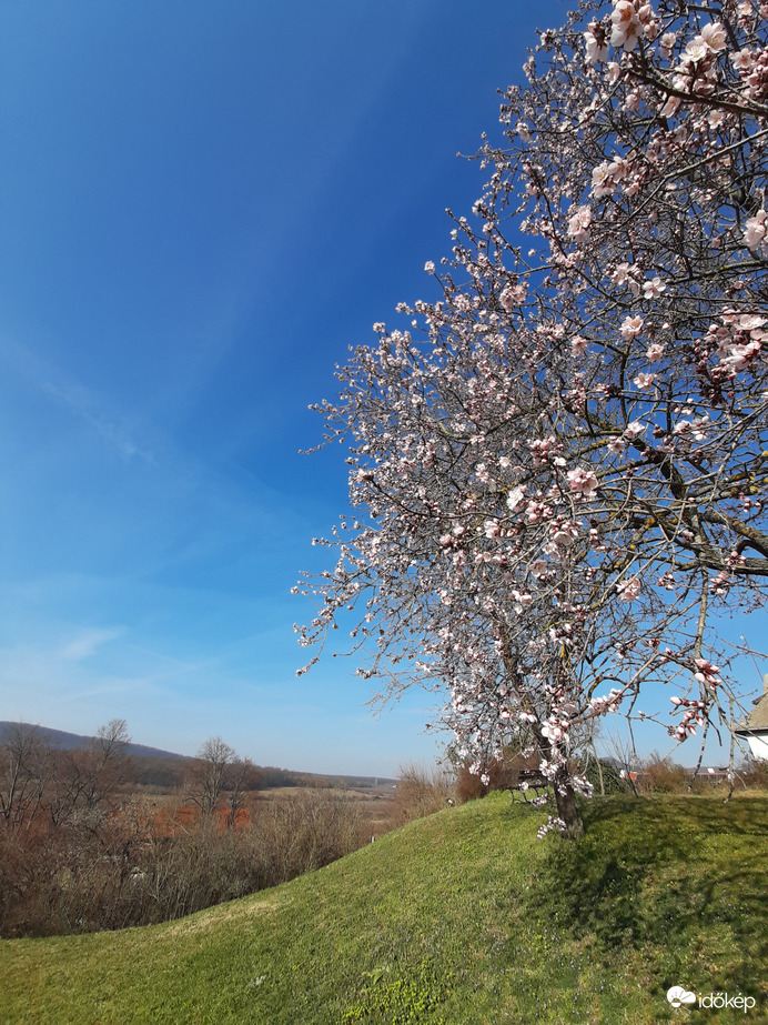 Verőfényes tavasz