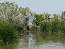 Balatonszemes 