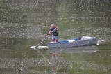 virágzott a Tisza