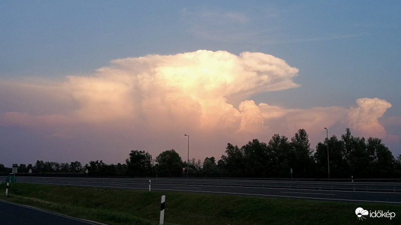 Egy szép üllő Kaposvár felé 2018.06.10.