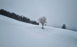 Grossarltal - Dorfgastein