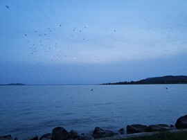 Balatonrendes