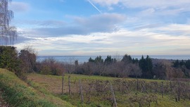 Balatonalmádi 