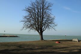 Balaton