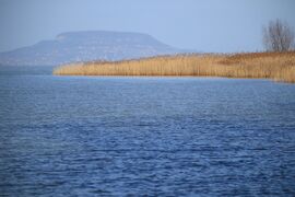 Badacsony Balatonberényből nézve