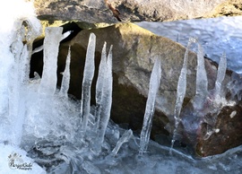 Téli Balaton