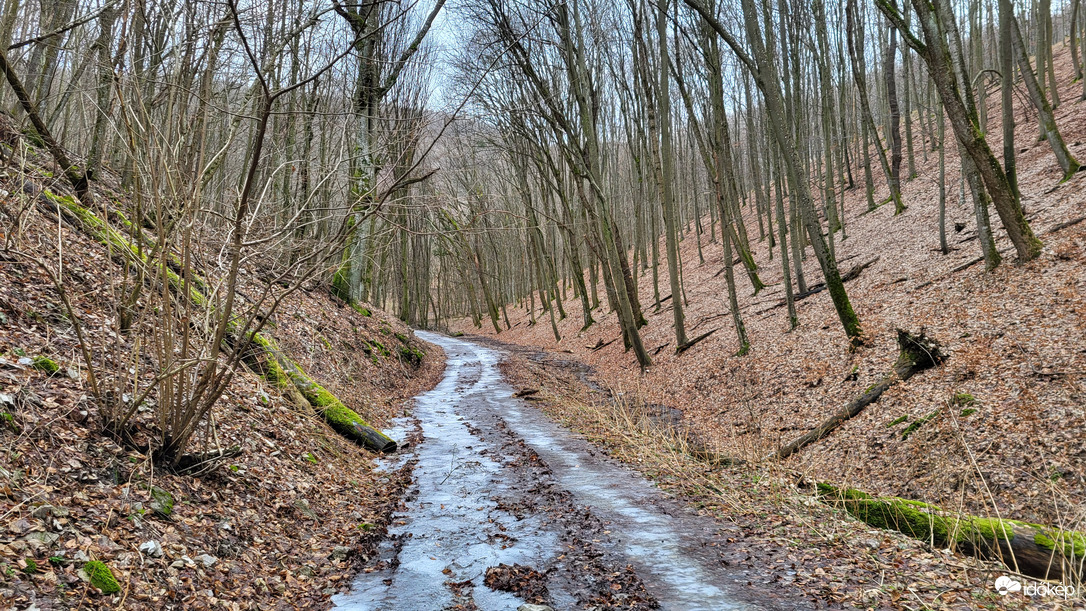 Amikor a víz nem szeret a mederben folyni...