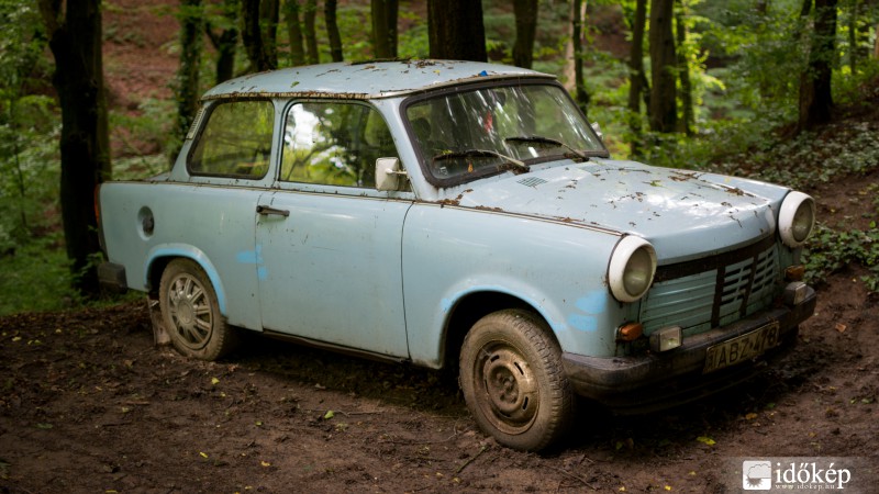 Trabant az erdőben