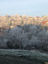 Zalaegerszeg