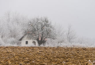 Zúzmarás-ködös újév napja 