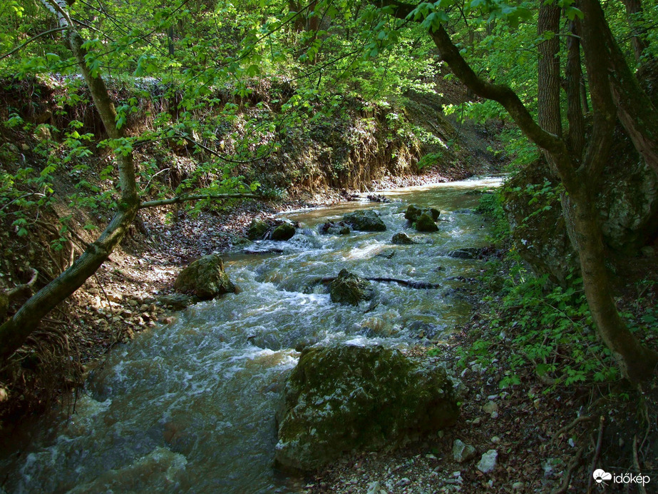 Tavasszal a Pilisben - A Dera-szurdok