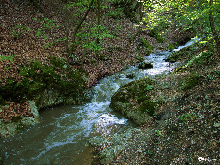 Tavasszal a Pilisben - A Dera-szurdok