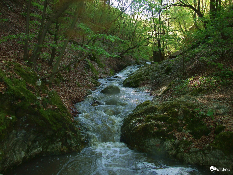 Tavasszal a Pilisben - A Dera-szurdok