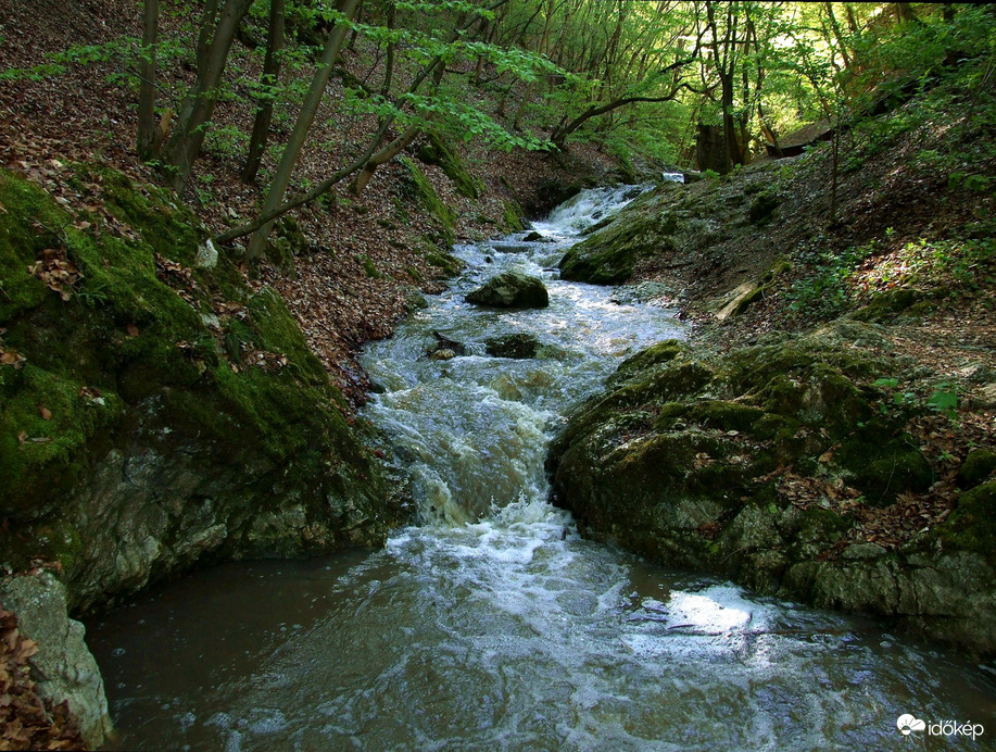 Tavasszal a Pilisben - A Dera-szurdok