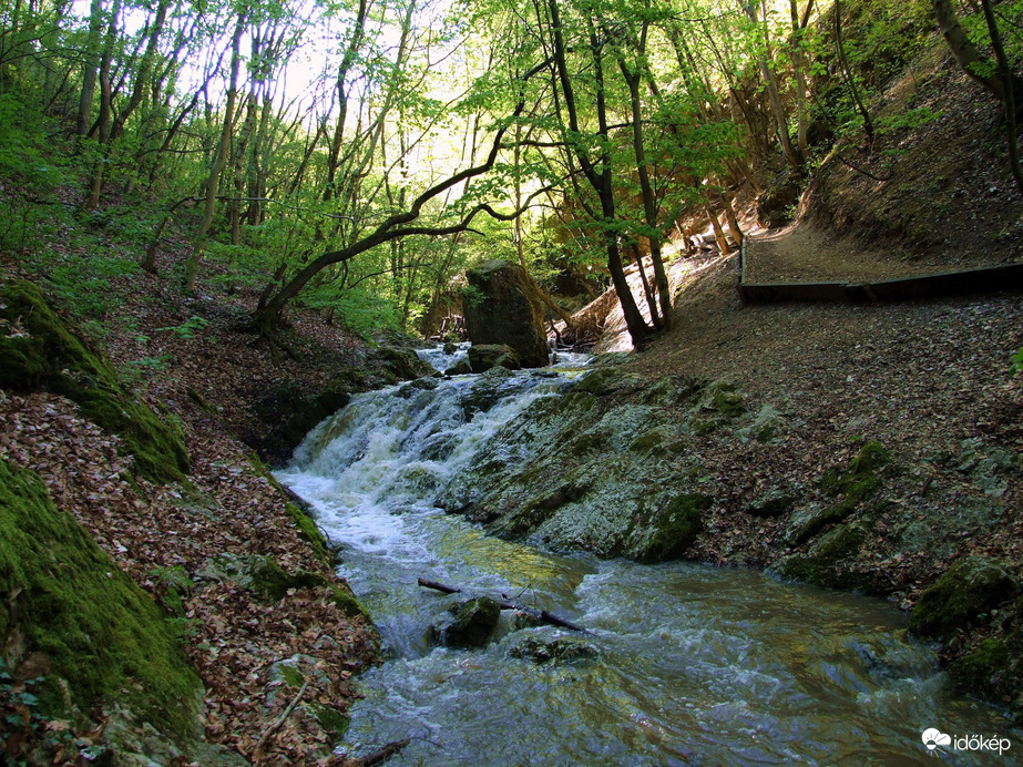 Tavasszal a Pilisben - A Dera-szurdok