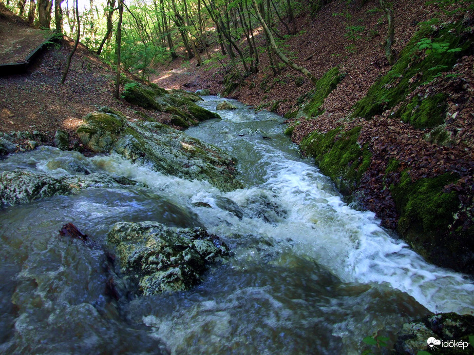 Tavasszal a Pilisben - A Dera-szurdok