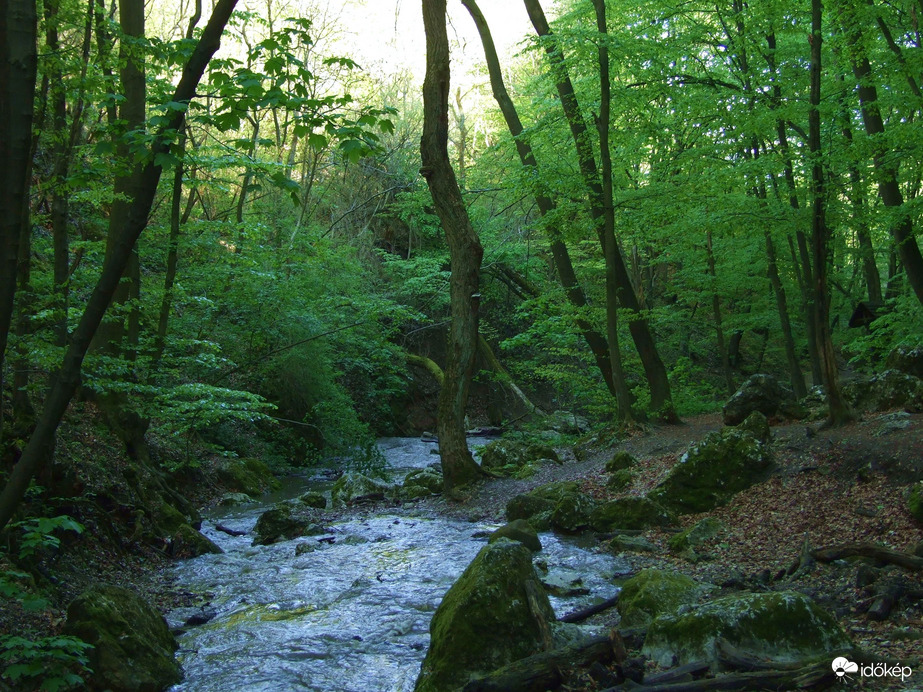 Tavasszal a Pilisben - A Dera-szurdok