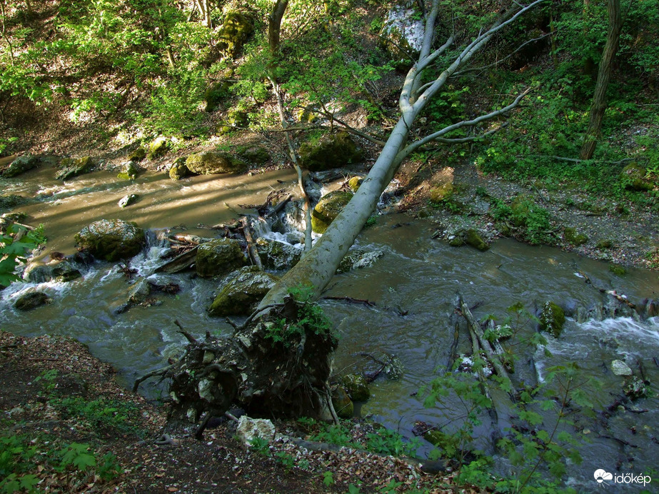 Tavasszal a Pilisben - A Dera-szurdok