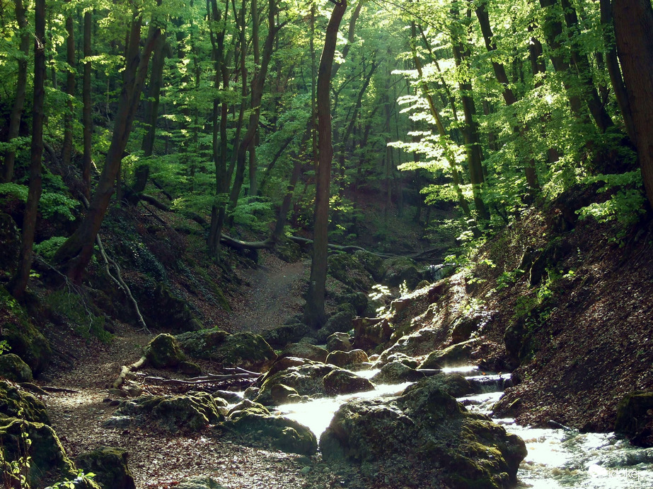 Tavasszal a Pilisben - A Dera-szurdok