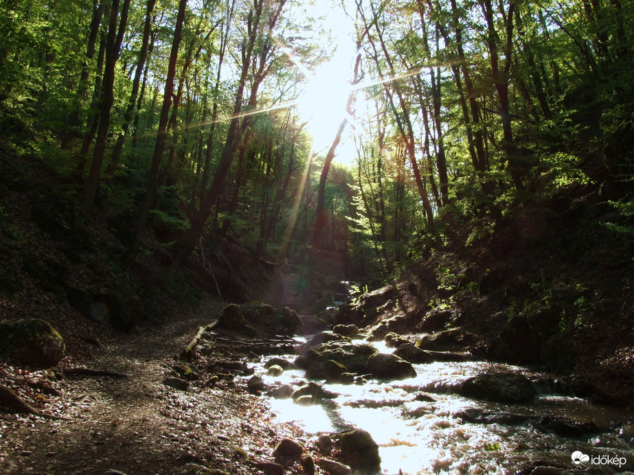 Tavasszal a Pilisben - A Dera-szurdok