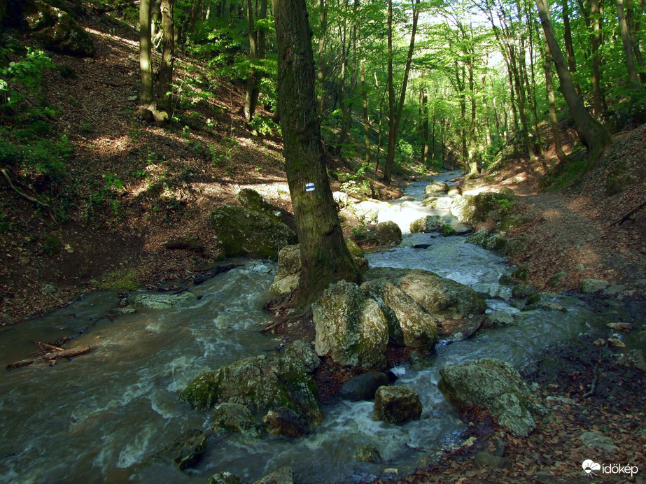 Tavasszal a Pilisben - A Dera-szurdok