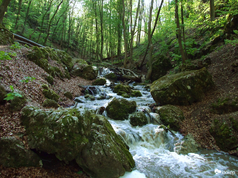 Tavasszal a Pilisben - A Dera-szurdok