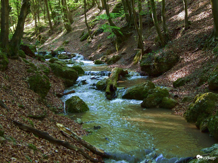 Tavasszal a Pilisben - A Dera-szurdok