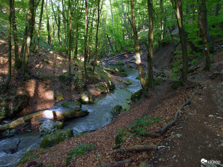 Tavasszal a Pilisben - A Dera-szurdok