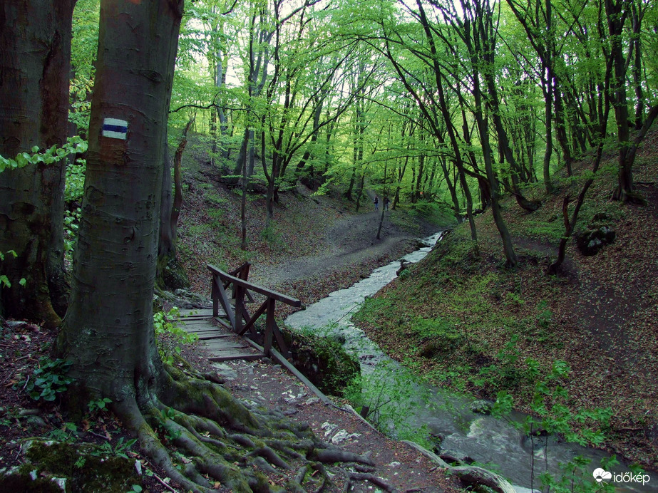 Tavasszal a Pilisben - A Dera-szurdok