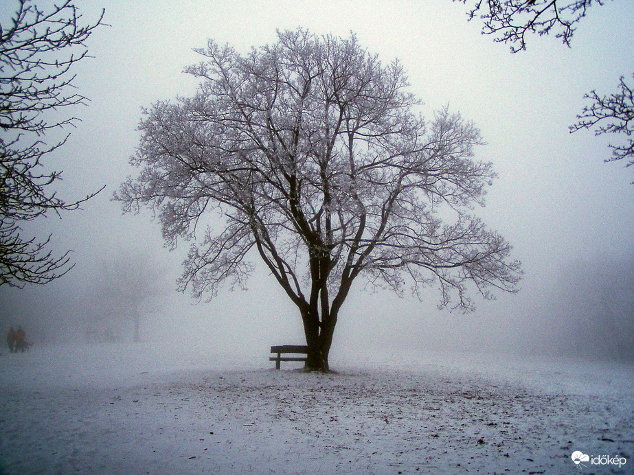 téli világ a Budai-hegyekben