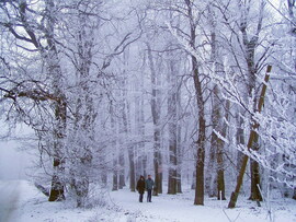 téli világ a Budai-hegyekben