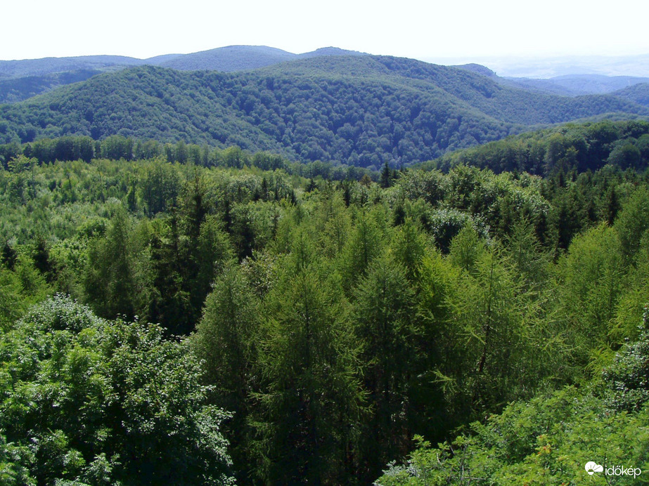 A Petőfi-kilátó panorámája a Bükkben (974 m.)