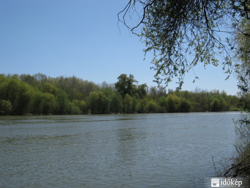 Tisza.