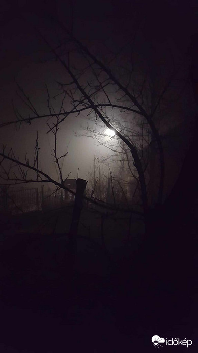 Rejtelmes köd
