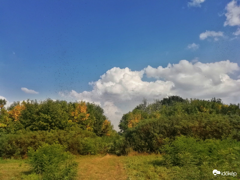 Kora ősz a Körös-Maros Nemzeti Parkban