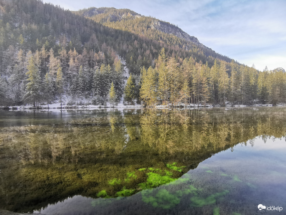 Grüner see