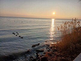 Balatonfüred