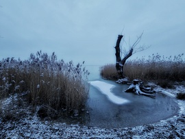 Balaton a jégen...