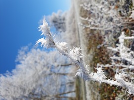 Hétvégén kék-fehérben❄️