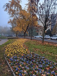 Budapest IX.ker - Ferencváros