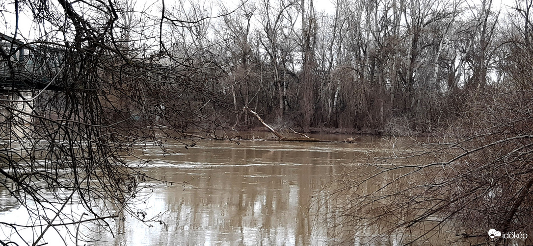 Algyő Tisza (hordalék)