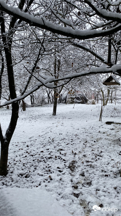 Madáretetők, itató feltöltve